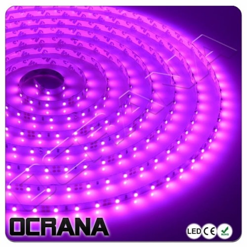 SLIM /5mm Taśma LED 12V Różowa 60 x LED SMD 2835