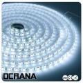Wodoodporna IP65 Taśma LED 12V Zimna biel 60 x LED SMD5050 1