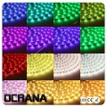 Taśma LED 24V RGBWW Wielokolorowa na przemian z BIAŁĄ (5 PIN) 60 x LED SMD5050 2