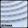 Taśma LED 24V RGBWW Wielokolorowa na przemian z BIAŁĄ (5 PIN) 60 x LED SMD5050 4