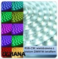 Taśma LED 24V RGBWW Wielokolorowa na przemian z BIAŁĄ (5 PIN) 60 x LED SMD5050 5