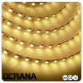 Taśma LED 12V Ciepła biel 60 x LED SMD5050 2