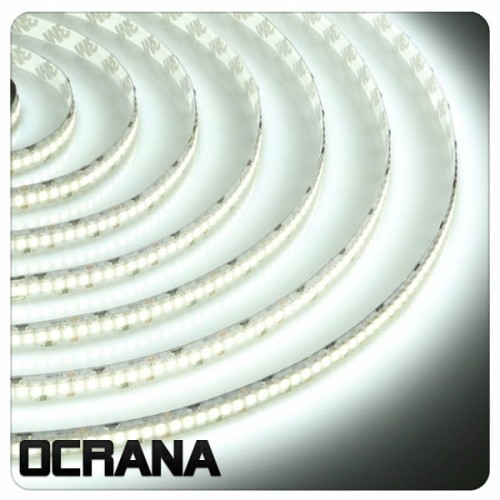 Taśma LED 24V Zimna biel 240 x LED SMD2835